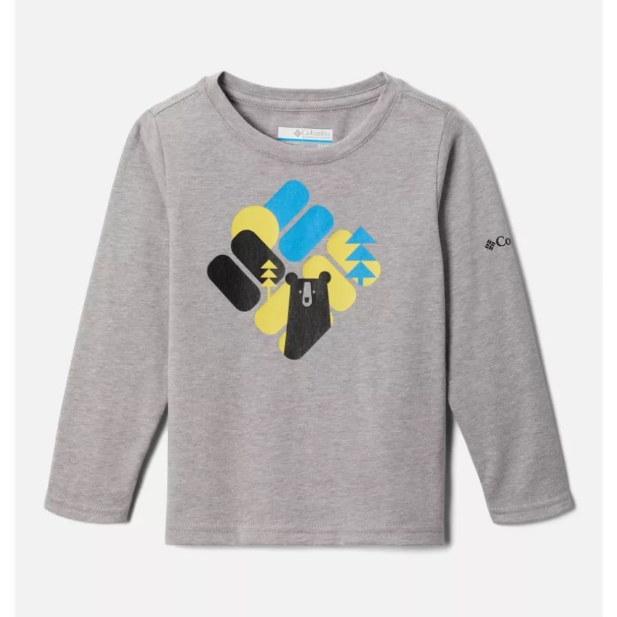 Boys' Toddler Dobson Pass Long Sleeve Graphic T-Shirt Columbia Columbia Grey Heather/Bearly Hidden