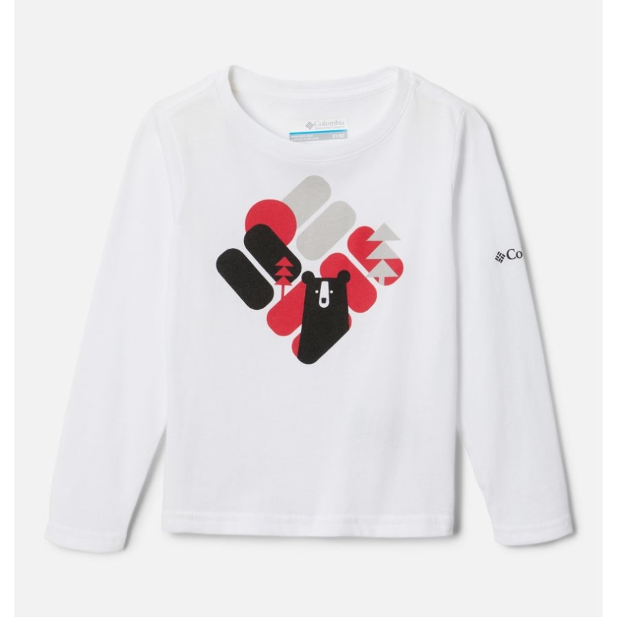 Boys' Toddler Dobson Pass Long Sleeve Graphic T-Shirt White/Bearly Hidden Columbia