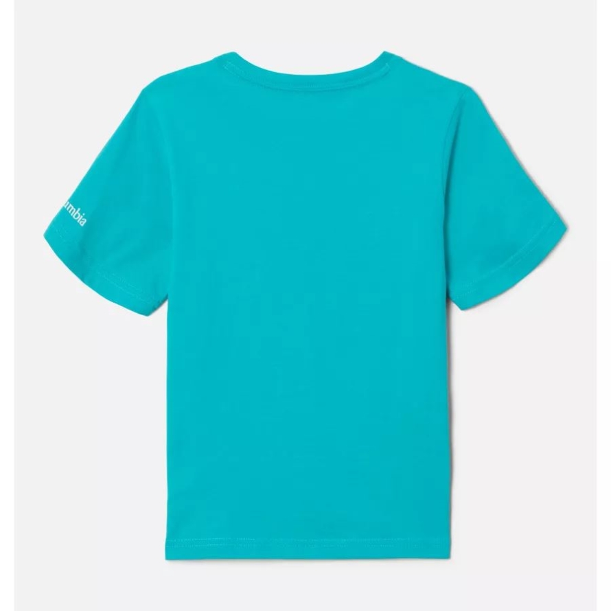 Bright Aqua/Gemscape Graphic Boys' Valley Creek Short Sleeve Graphic T-Shirt Columbia