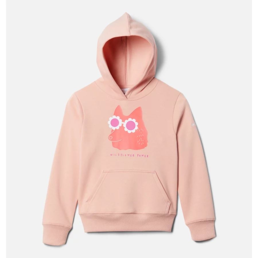 Columbia Kids' Basin Park Graphic Hoodie Faux Pink Foxy Shades