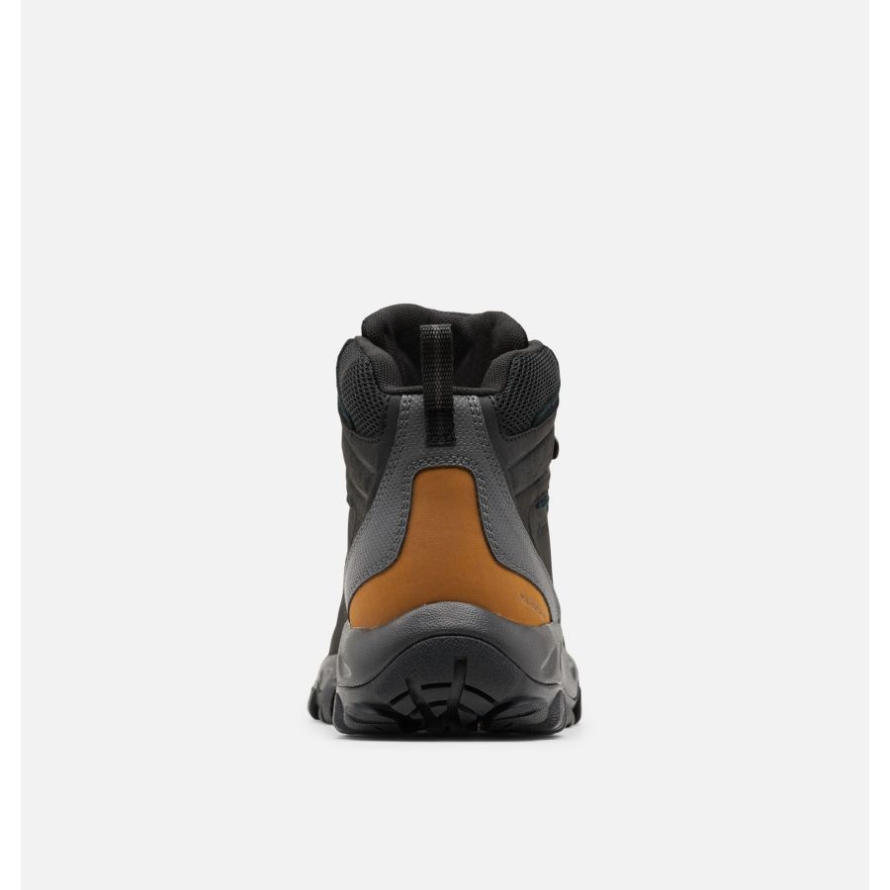 Columbia Men's Newton Ridge Plus II Waterproof Hiking Boot Black/Shark