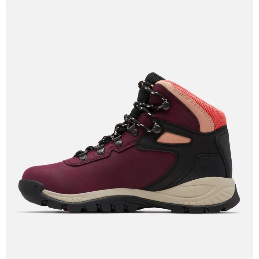 Columbia Women's Newton Ridge Plus Waterproof Hiking Boot Marionberry/Black
