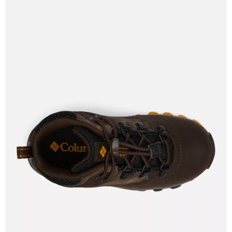 Cordovan/Golden Yellow Columbia Little Kids' Newton Ridge Waterproof Hiking Boot