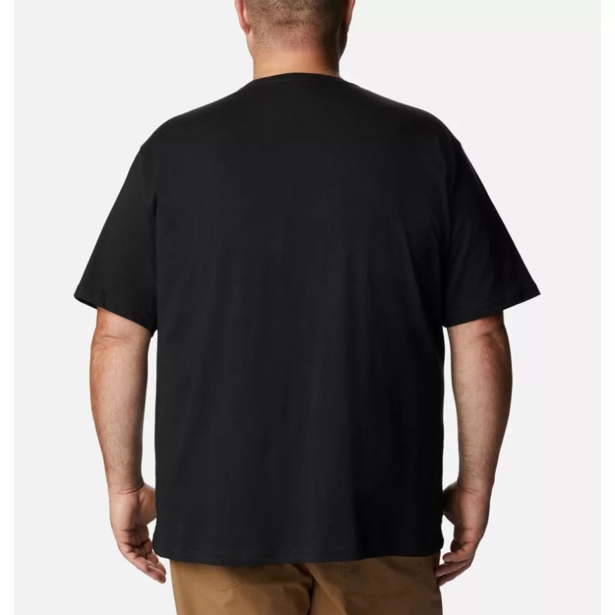 Men's Rapid Ridge Graphic T-shirt Black/Stippled Hills Columbia