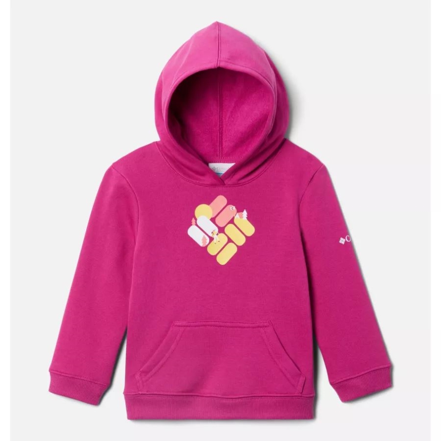 Wild Fuchsia Columbia Toddler Tabor Heights Graphic Hoodie
