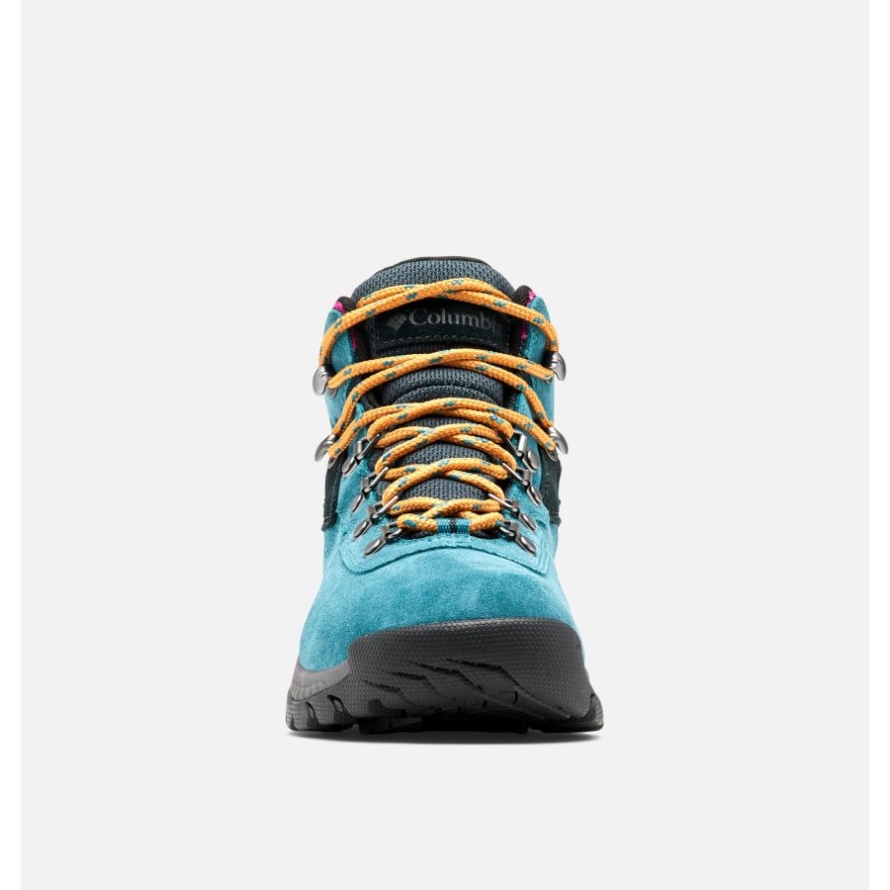 Women's Newton Ridge Plus Waterproof Amped Hiking Boot Columbia Poseidon/Black
