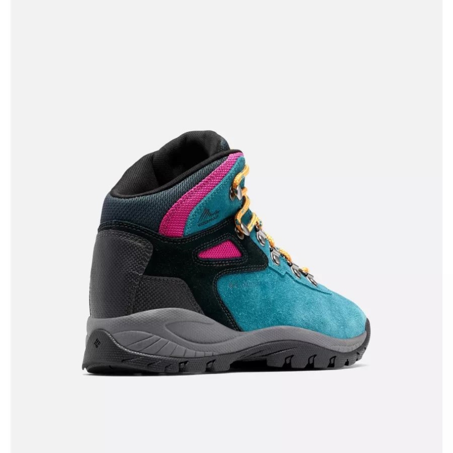 Women's Newton Ridge Plus Waterproof Amped Hiking Boot Columbia Poseidon/Black